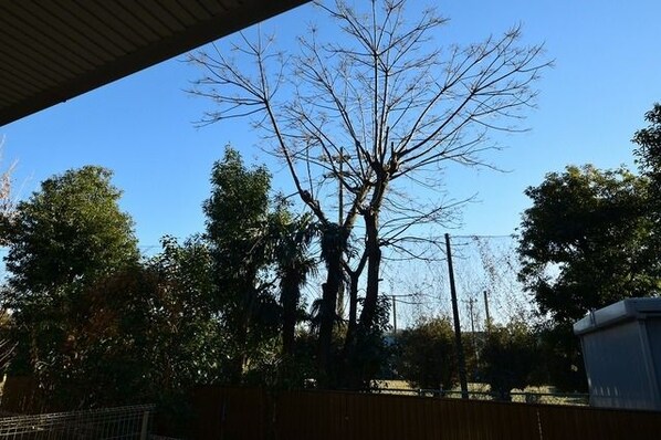 アドヴァンスKの物件内観写真